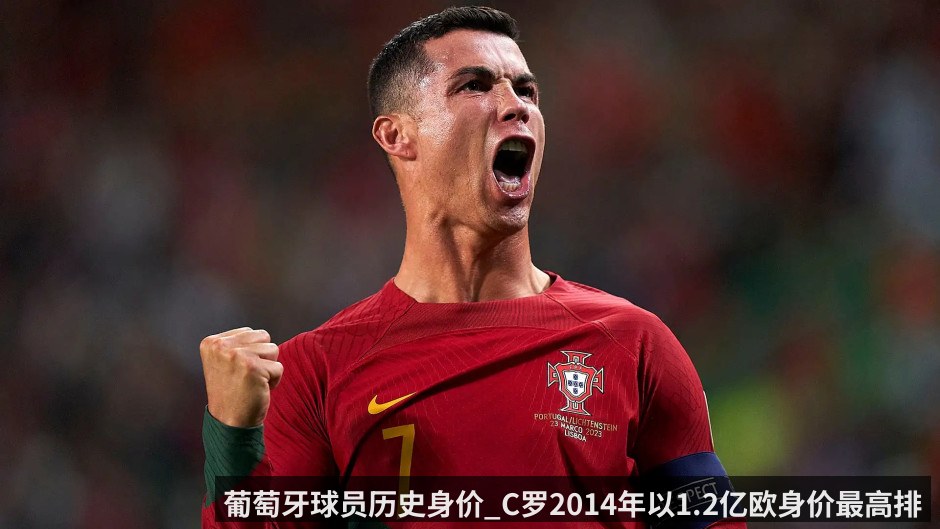葡萄牙球员历史身价_C罗2014年以1.2亿欧身价最高排名第一